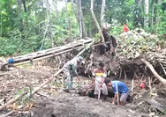 Wujud Sinergi TNI dan Rakyat, Koramil 1312-01/Kabaruan Bersama Warga Gotong Royong Bangun Pondasi Jembatan Nalam Damau Bowone