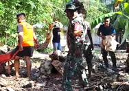 Wujud Kemanunggalan TNI dengan Rakyat, Babinsa Koramil 1312-01/Kabaruan Gelar Kerja Bakti Pembangunan Jembatan Penghubung Desa