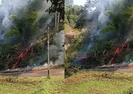Kebakaran di Gogagoman Kotamobagu, Diduga Akibat Pungtung Rokok, Kapolres & Damkar Turun Tangan