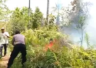 Gerak Cepat Hadapi Si Jago Merah! Polsek Rainis dan Warga Bahu-Membahu Padam Karhutla 20 Hektar