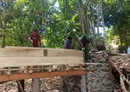 Dukungan Infrastruktur Desa, Babinsa Koramil 1312-01/Kabaruan Bersama Warga Damau Gelar Karya Bhakti Pembangunan Jembatan