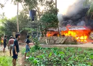 Si Jago Merah Laap Gudang Bowonnaci: Angin Kencang dan Bahan Mudah Terbakar Perparah Kerugian Ratusan Juta Rupiah
