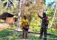 Babinsa Koramil 1312-01/Kabaruan Tinjau Perkebunan Warga Desa Birang,Imbau Kewaspadaan Kebakaran di Tengah Kemarau Panjang