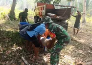 Sinergi TNI dan Warga, Babinsa Koramil 1312-01/Kabaruan Gotong Royong Angkut Batang Kelapa untuk Pembangunan Jembatan Darurat