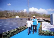 PLN Siap Optimalkan Energi Surya, PLTS 100 GWp Dorong Efisiensi dan Penguatan Energi Domestik