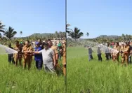 Bupati Ronald Kandoli Turun Langsung Selamatkan Sawah dari Ancaman Kekeringan