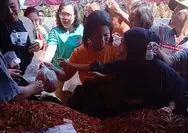 Diserbu Warga! Cabai Rawit Bantuan Pemprov Sulut di Pasar Bersehati Ludes Tak Sampai Sejam : YSK Berhasil