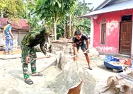 Satgas TMMD ke-130 Kodim 1312/Talaud Terus Berjuang Wujudkan Hunian Layak bagi Keluarga Ana Mamaii