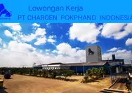 PT Charoen Pokphand Indonesia Buka Lowongan Kerja Terbaru, Penempatan Jakarta Utara dan Cikampek, Link Daftar Disini