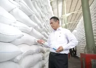 FAO Soroti Lonjakan Produksi Beras Dalam Negeri, Indonesia Bersinar Saat Raksasa Pangan Dunia Tersendat