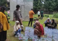 Lahan Sempit Bukan Lagi Hambatan, Hidroponik Sistem Sumbu Dorong Warga Kota Panen Sayur dari Pekarangan Rumah