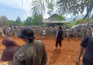 Rumah Petani Laoli Dibongkar di Tengah PSN, Koalisi Tuding Ada Kekerasan Aparat