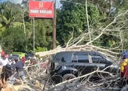Detik-detik Poros Enrekang–Makassar Tertutup Pohon Tumbang, SUV Rusak dan Kendaraan Mengular