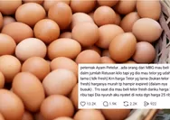 Viral Peternak Bongkar Dugaan Permintaan Telur Tak Layak dan Markup Nota Dapur MBG