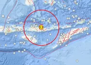 Gempa M7,7 Guncang Nagekeo, Tsunami Terdeteksi hingga Sulsel: BMKG Minta Warga Pesisir Waspada