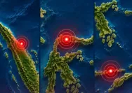 Indonesia Dikepung Gempa: Korban Tewas M7,7 NTT Capai 51 Orang, Dua Gempa Kuat Turut Guncang Sumut dan Sulteng
