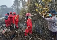 Kemenhut Bekukan Izin Satu Perusahaan, Enam PBPH Disanksi Gegara Karhutla 1.511 Hektare