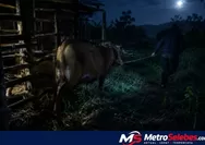 Pencurian Sapi Muncul di Sejumlah Wilayah Bulukumba, CCTV Batas Desa Diusulkan