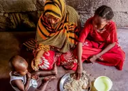 Badan Khusus PBB 'FAO' Membuka Lowongan Kerja National Project Assistant, Kontrak 12 Bulan