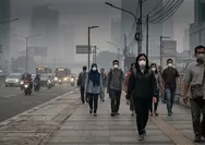 Menurut WHO Kabut Asap Akibat Karhutla Jauh Lebih Berbahaya Daripada Debu Biasa Bagi Kesehatan Manusia