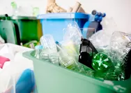 Mengapa Plastik Berbahaya Bagi Keseharian Kita? Ketahui Dampak Negatif yang Perlu Diperhatikan