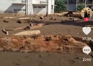 Pemerintah berikan kompensasi Rp60 juta bagi rumah korban bencana alam yang rusak, Netizen: Yang kluar paling Rp5 juta