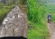 Guru di Grobogan Bagikan Perjuangan ke Sekolah Lewat Jalan Tanah Licin, Pemkab Beri Respons