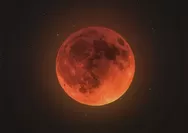Bulan Hari Ini 28 Agustus 2026 Merah, Apa Artinya? Cek Gerhana dan Purnama