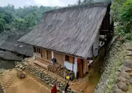 Prabowo Minta Seng Ditinggalkan, Ijuk dan Rumbia Kembali Jadi Pilihan Atap Rumah?