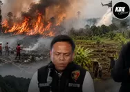 72 Tersangka Karhutla Terungkap, Bakar Lahan Demi Hemat Biaya Jadi Modus
