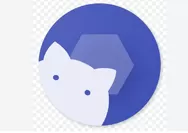 Shizuku Apk untuk Apa? Link Download dan Fungsi di Android 14 & 15