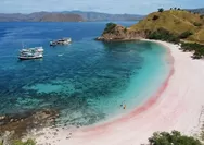 Pesona Pink Beach Lombok: Destinasi Otentik yang Luar Biasa