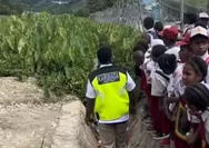 Perjuangan Siswa SD di Tolikara: Menunggu Pesawat Lepas Landas Menjadi 'Lampu Merah' Alami demi Pergi ke Sekolah