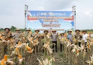 Panen Raya Jagung Serentak, Wagub Jateng Dukung Langkah Polri Jaga Ketahanan Pangan