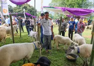 Kontes Ternak dan Jambore Inseminator 2026 Meriah, Ketahanan Pangan Kian Menguat