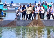 Presiden Apresiasi Tambak Udang Kebumen, Luthfi Dorong Ekonomi Biru