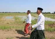 Sawah 1,5 Hektare Tertimbun Lumpur, Sekda Jateng Turun Tangan di Grobogan
