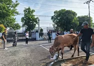 BRI Slawi Tebar Kepedulian Lewat Kurban, Salurkan Daging untuk Warga dan Pekerja Dasar Lingkungan