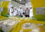 Tinjau Gudang Bulog, Menko Polkam Yakinkan Masyarakat Sumut Tak Perlu Khawatir Soal Stok Beras