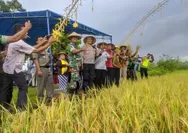Harmoni Alam dan Manusia dalam Tradisi Umbul Dungo Wiwit Pari Desa Teluk Awur