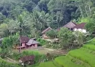 Keunikan Kampung Janda di Bogor: Tempat yang Bikin Kaum Adam Tidak Ingin Pulang