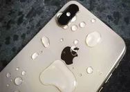 Jangan Panik! Begini Cara Mengeluarkan Air yang Masuk ke Speaker iPhone dengan Mudah