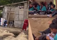 Kondisi Memprihatinkan SMPN 48 Sa Ate Gaikiu NTT Viral, Bangunan Bambu Rusak Berat