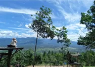 Destinasi  Objek Wisata Populer  Puncak Koto Panjang View Alam  Pasaman Dari Ketinggian