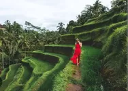 Wisatawan Asing : Ubud Telah Kehilangan Esensinya sebagai Tempat yang Damai dan Tenang. Namanya Terlanjur Terkenal di Seluruh Dunia