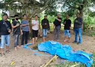 Polsek Gantarang Gerebek Arena Judi Sabung Ayam di Bukit Tinggi, 3 Motor dan 2 Ayam Diamankan.