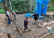 Tak Temukan Pelaku, Polsek Bulukumpa Tetap Bongkar Arena Diduga Sabung Ayam
