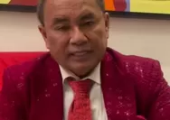 Dilaporkan Organisasi Wartawan, Hotman Paris Sebut Laporan Polisi Tak Punya Legal Standing