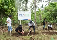 Menghijaukan Lahan Kritis: Bantuan Produktif Grow & Green dari BRI bagi Petani