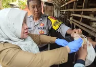 Jelang Iduladha 1445 H, DKPPP Kota Cirebon Temukan Hewan Kurban Sakit hingga Belum Cukup Umur